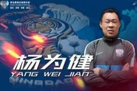 青岛黄海俱乐部官方宣布任命杨为健为俱乐部一线队助理教练