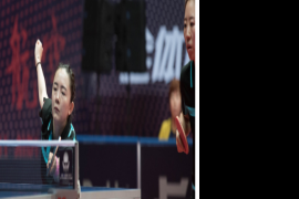 在wtt卡塔尔球星挑战赛上风头最劲的当属韩国的归化名将田志希