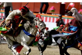 西藏自治区那曲市申报的赛马会被列入到传统体育游艺与杂技一栏中