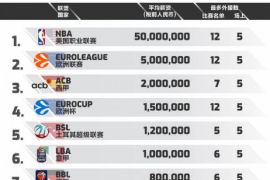 国内媒体对世界上的篮球联赛进行了排名其中NBA高居榜首