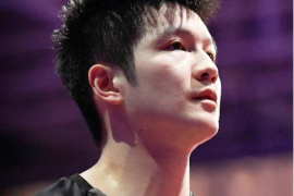 乒乓球品牌蝴蝶宣布与选手樊振东签订合作协议
