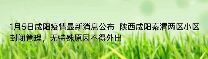 1月5日咸阳疫情最新消息公布  陕西咸阳秦渭两区小区封闭管理，无特殊原因不得外出