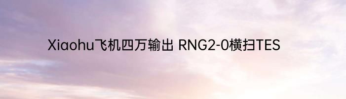 Xiaohu飞机四万输出 RNG2-0横扫TES