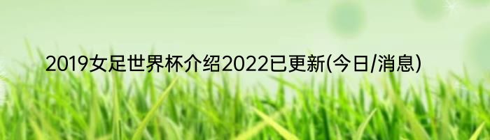 2019女足世界杯介绍2022已更新(今日/消息)