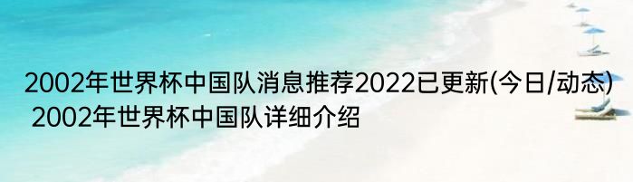 2002年世界杯中国队消息推荐2022已更新(今日/动态) 2002年世界杯中国队详细介绍