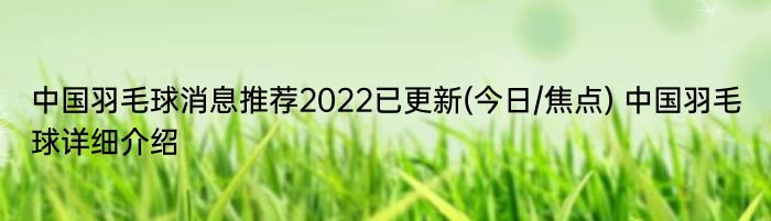 中国羽毛球消息推荐2022已更新(今日/焦点) 中国羽毛球详细介绍