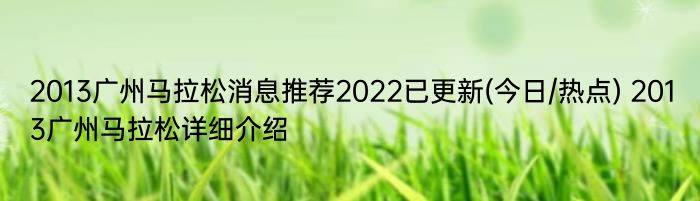 2013广州马拉松消息推荐2022已更新(今日/热点) 2013广州马拉松详细介绍