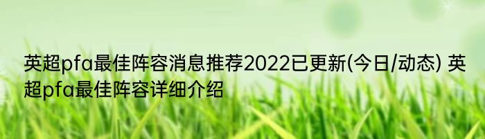英超pfa最佳阵容消息推荐2022已更新(今日/动态) 英超pfa最佳阵容详细介绍