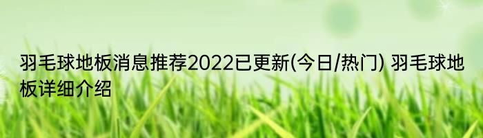 羽毛球地板消息推荐2022已更新(今日/热门) 羽毛球地板详细介绍