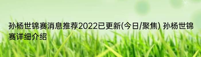 孙杨世锦赛消息推荐2022已更新(今日/聚焦) 孙杨世锦赛详细介绍