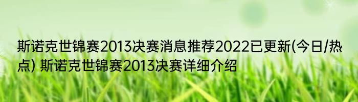 斯诺克世锦赛2013决赛消息推荐2022已更新(今日/热点) 斯诺克世锦赛2013决赛详细介绍