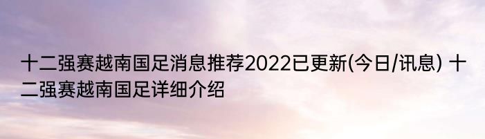 十二强赛越南国足消息推荐2022已更新(今日/讯息) 十二强赛越南国足详细介绍