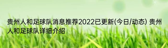 贵州人和足球队消息推荐2022已更新(今日/动态) 贵州人和足球队详细介绍