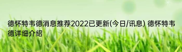 德怀特韦德消息推荐2022已更新(今日/讯息) 德怀特韦德详细介绍