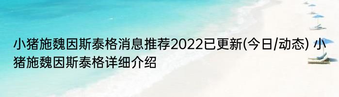 小猪施魏因斯泰格消息推荐2022已更新(今日/动态) 小猪施魏因斯泰格详细介绍