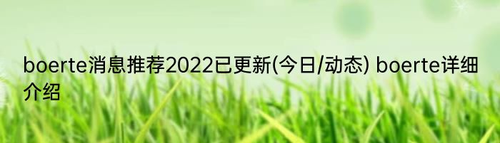 boerte消息推荐2022已更新(今日/动态) boerte详细介绍