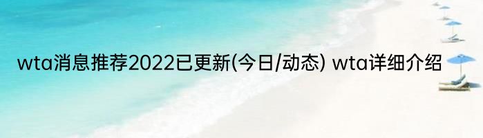 wta消息推荐2022已更新(今日/动态) wta详细介绍