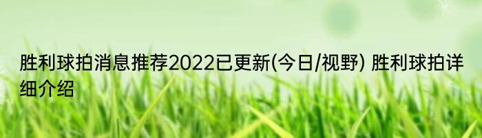 胜利球拍消息推荐2022已更新(今日/视野) 胜利球拍详细介绍