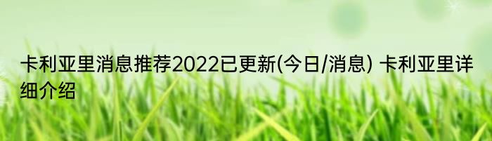 卡利亚里消息推荐2022已更新(今日/消息) 卡利亚里详细介绍