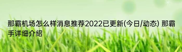 那霸机场怎么样消息推荐2022已更新(今日/动态) 那霸手详细介绍