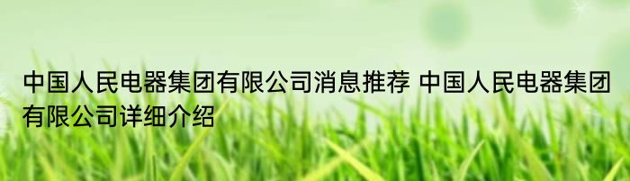 中国人民电器集团有限公司消息推荐 中国人民电器集团有限公司详细介绍