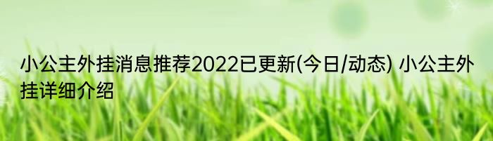 小公主外挂消息推荐2022已更新(今日/动态) 小公主外挂详细介绍