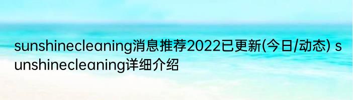 sunshinecleaning消息推荐2022已更新(今日/动态) sunshinecleaning详细介绍