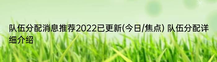 队伍分配消息推荐2022已更新(今日/焦点) 队伍分配详细介绍