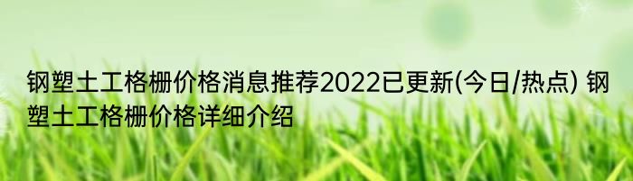 钢塑土工格栅价格消息推荐2022已更新(今日/热点) 钢塑土工格栅价格详细介绍