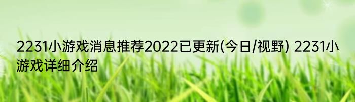 2231小游戏消息推荐2022已更新(今日/视野) 2231小游戏详细介绍