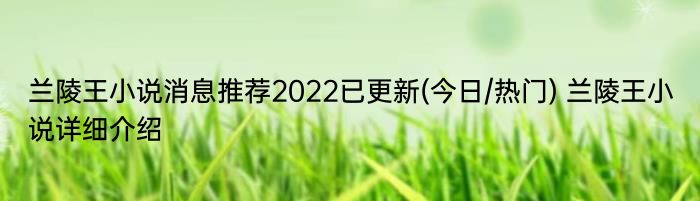 兰陵王小说消息推荐2022已更新(今日/热门) 兰陵王小说详细介绍
