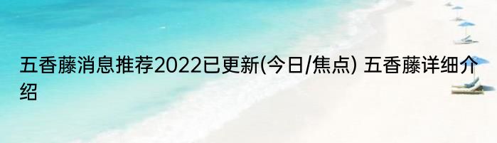 五香藤消息推荐2022已更新(今日/焦点) 五香藤详细介绍