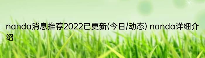 nanda消息推荐2022已更新(今日/动态) nanda详细介绍