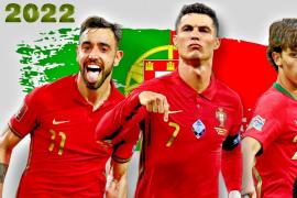 葡萄牙世界杯名单联赛分布：英超10人 葡超7人，西意德各2人